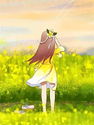 夏日不眠小说