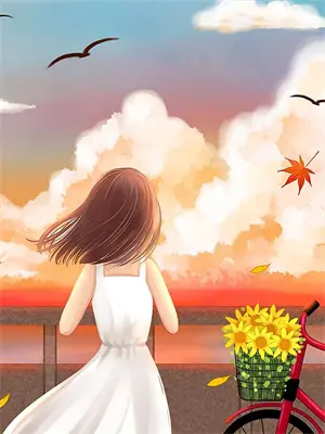 锦心记电视剧