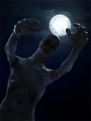 重生悔婚夜，太子爷死缠烂打求名分