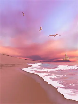 抖音界的一股清流