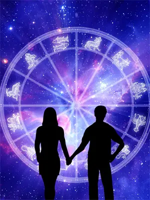 心似还旧影沈秋影薄锦言沈婕陈默后续