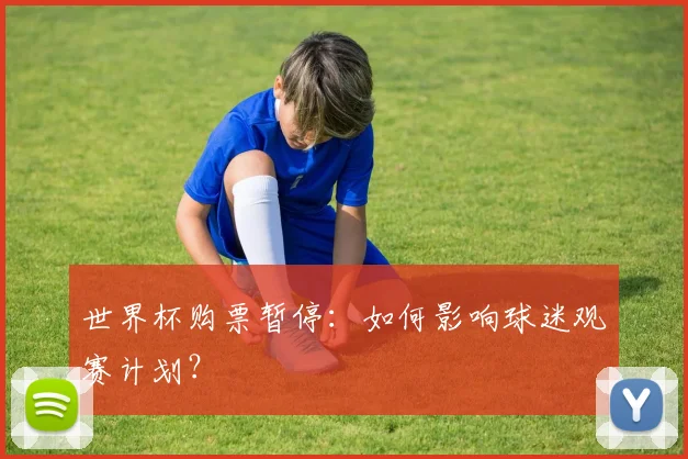 世界杯购票暂停:如何影响球迷观赛计划?