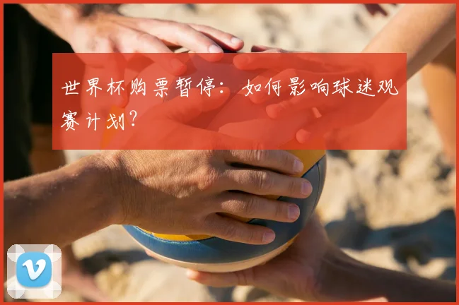 世界杯购票暂停:如何影响球迷观赛计划?