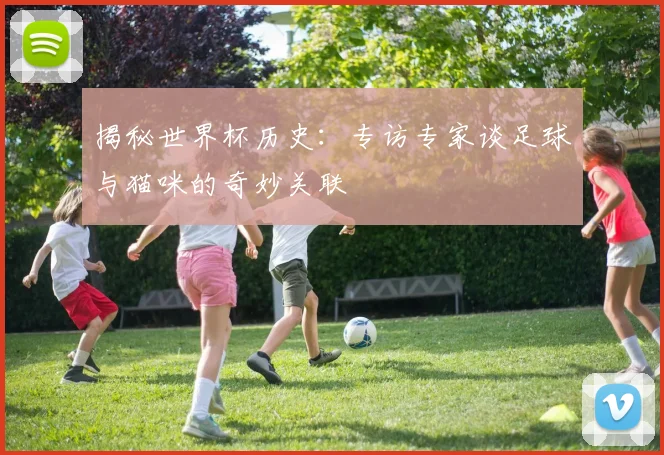 揭秘世界杯历史：专访专家谈足球与猫咪的奇妙关联