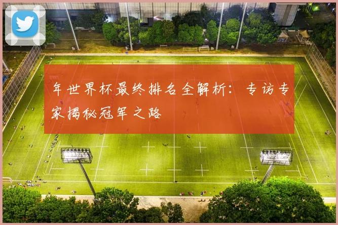 年世界杯最终排名全解析：专访专家揭秘冠军之路