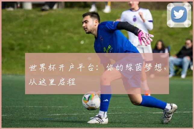 世界杯开户平台：你的绿茵梦想，从这里启程