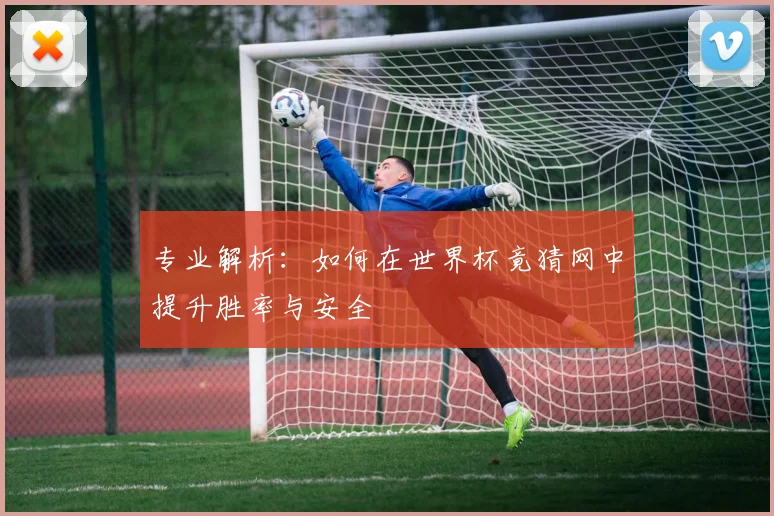 专业解析：如何在世界杯竟猜网中提升胜率与安全